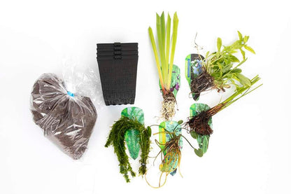 Pond Starter Packs - Pond topup Packs - Oxygenating - Compost and Pots Potted