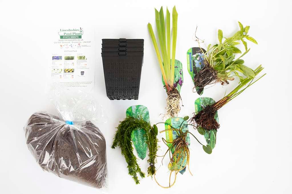 Pond Starter Packs - Pond topup Packs - Oxygenating - Compost and Pots Potted