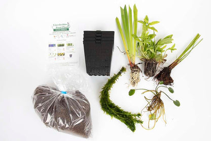 Pond Starter Packs - Pond topup Packs - Oxygenating - Compost and Pots Potted