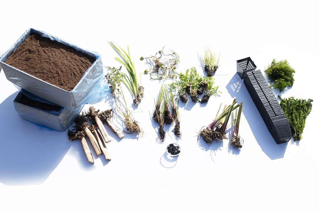Pond Starter & top up Packs - Oxygenating - Compost and Pots