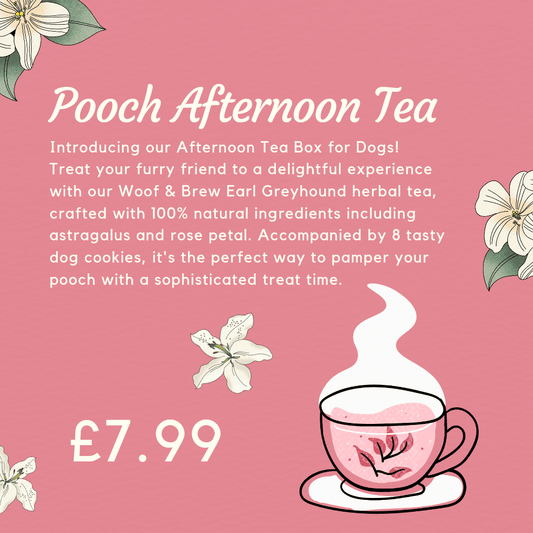 Pooch Afternoon Tea - North East Pet Shop Dog Shack UK