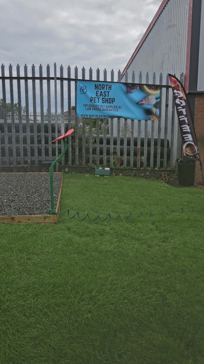 Crazy Spin Dancing Flower Hosepipe