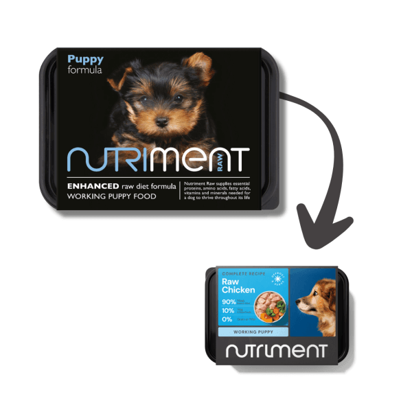 Puppy formula - from 6 weeks - 500g tub - North East Pet Shop Nutriment