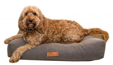 Ralph & Co Stonewashed Fabric Pillow Bed Windsor Grey Large 120x110x15cm - North East Pet Shop Ralph & Co