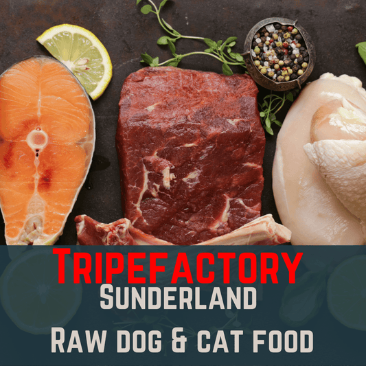 Raw Dog & Cat Food - Tripefactory Sunderland - North East Pet Shop Tripefactory Sunderland