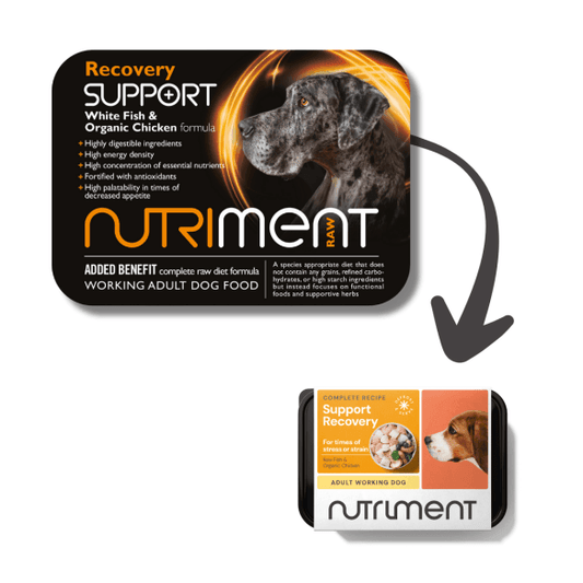 Recovery Support - 500g tub - North East Pet Shop Nutriment