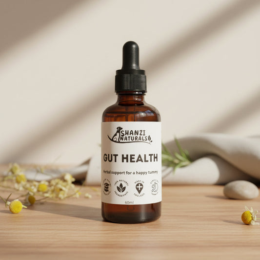 Shanzi Naturals – Gut Health Tincture For Dogs & Cats