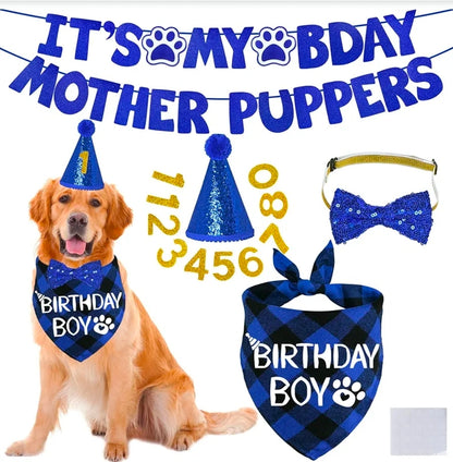 Dog Birthday Decorations - Multi Sizes