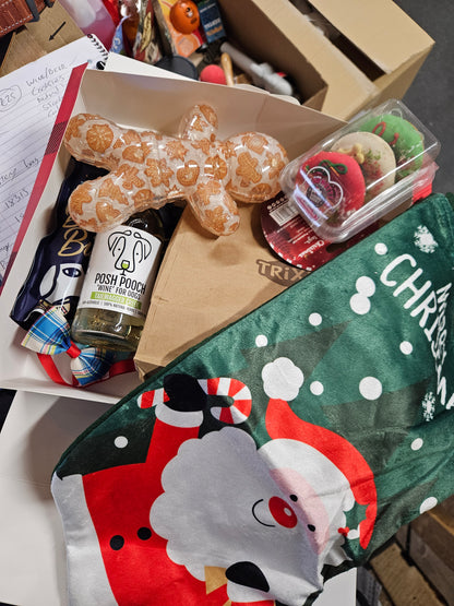 Pet Christmas Eve Box
