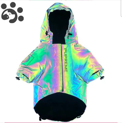 Dog Shack Flash!! Dog Coat