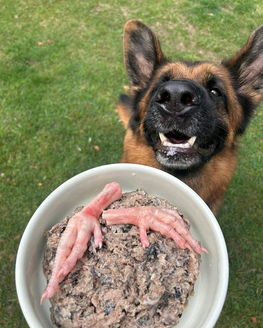 5 Chicken Feet - Tripefactory Sunderland - Natural Dried Dog Treats