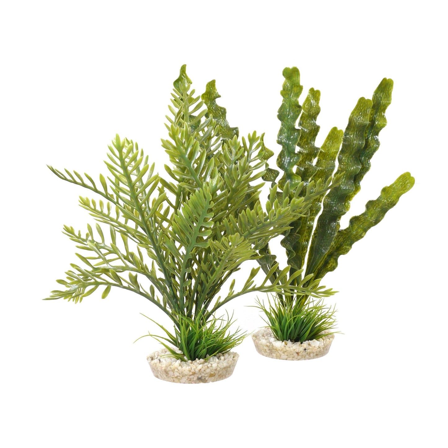 Rosewood Aponogeton/Hottonia Mix x4 - North East Pet Shop Rosewood