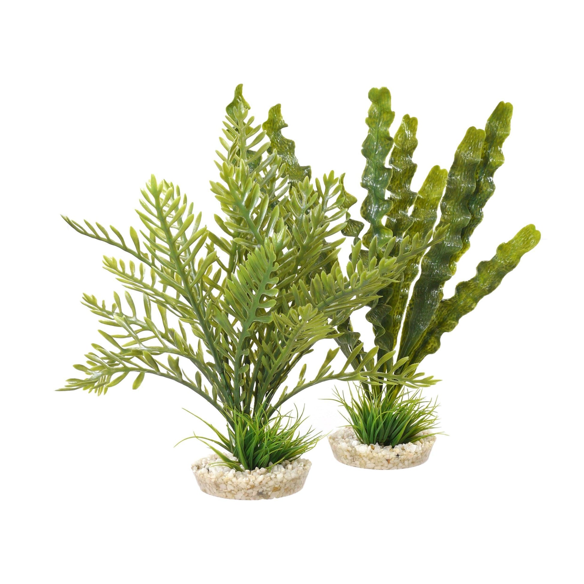 Rosewood Aponogeton/Hottonia Mix x4 - North East Pet Shop Rosewood