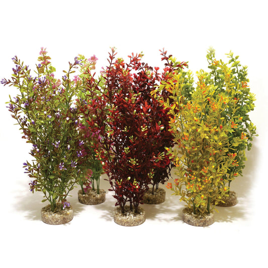 Rosewood Cocktail Plant Maxi x6 - North East Pet Shop Rosewood