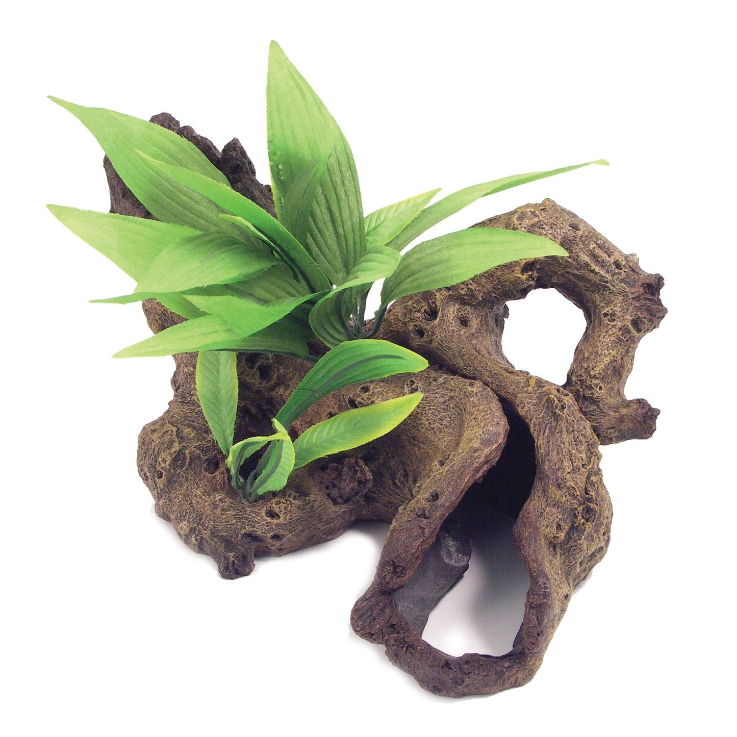 Rosewood Mopani Wood with Plant Small - North East Pet Shop Rosewood