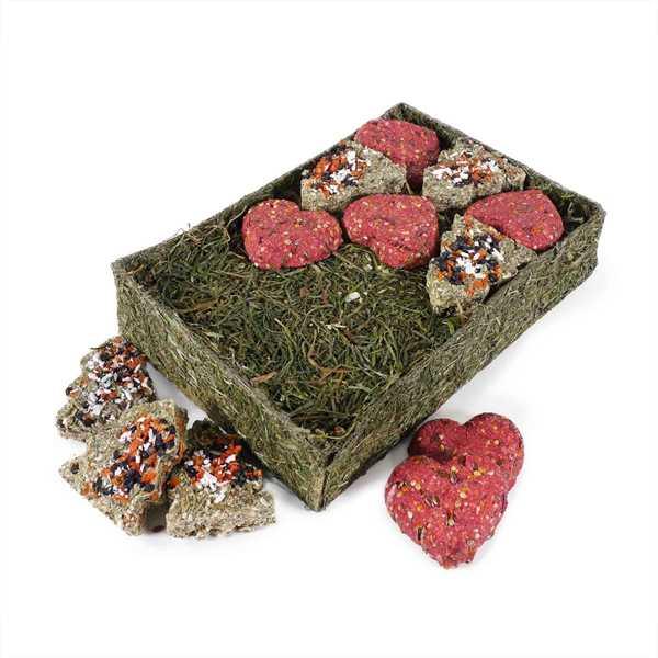 Rosewood Naturals 12 Days of Christmas Gift n Forage Treat for Small Animals - North East Pet Shop Rosewood