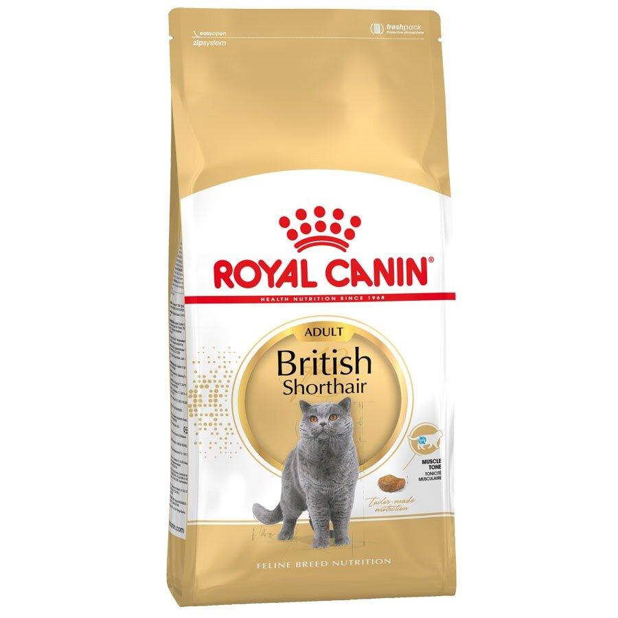 Royal Canin British Shorthair Cat Food 10kg - North East Pet Shop Royal Canin