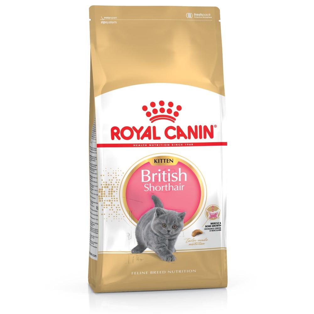 Royal Canin British Shorthair Kitten 2kg - North East Pet Shop Royal Canin