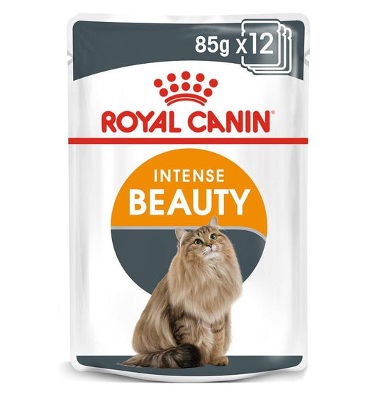 Royal Canin Intense Beauty in Jelly Pouches 12 x 85g - North East Pet Shop Royal Canin