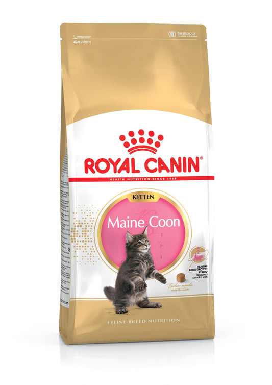 Royal Canin Maine Coon Kitten 2kg - North East Pet Shop Royal Canin