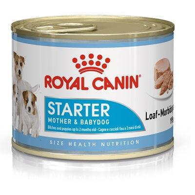 Royal Canin Starter Mousse Mother & Baby 12 x 195g - North East Pet Shop Royal Canin