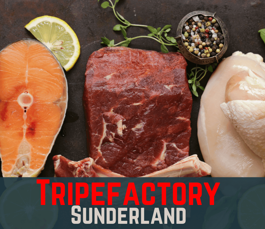 Salmon Head - Tripefactory Sunderland - Raw Frozen Treats - North East Pet Shop Tripefactory Sunderland