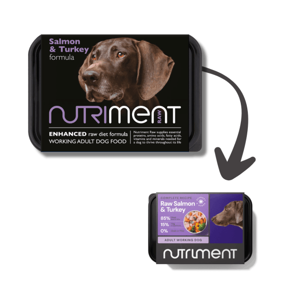 Salmon with Turkey formula - Adult - 500g tub - North East Pet Shop Nutriment
