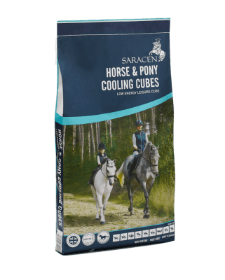 Saracen Horse & Pony Cooling Cubes 20kg - North East Pet Shop Saracen