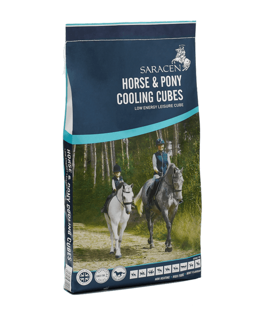 Saracen Horse & Pony Cooling Cubes - North East Pet Shop Saracen