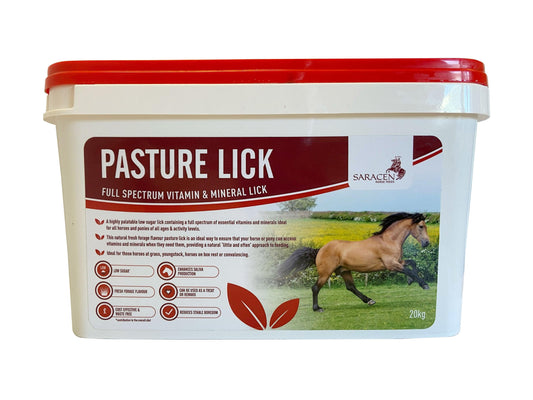 Saracen Pasture Lick - North East Pet Shop Saracen