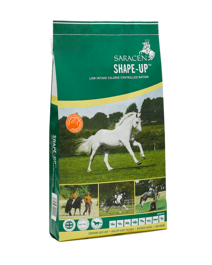 Saracen Shape-Up - North East Pet Shop Saracen