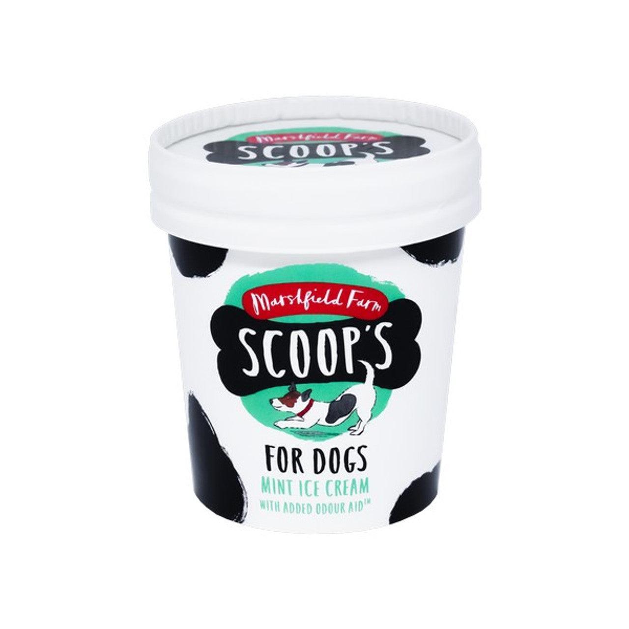 Scoops Mint Ice Cream for Dogs with joint aid supplement 125ml - North East Pet Shop Scoops