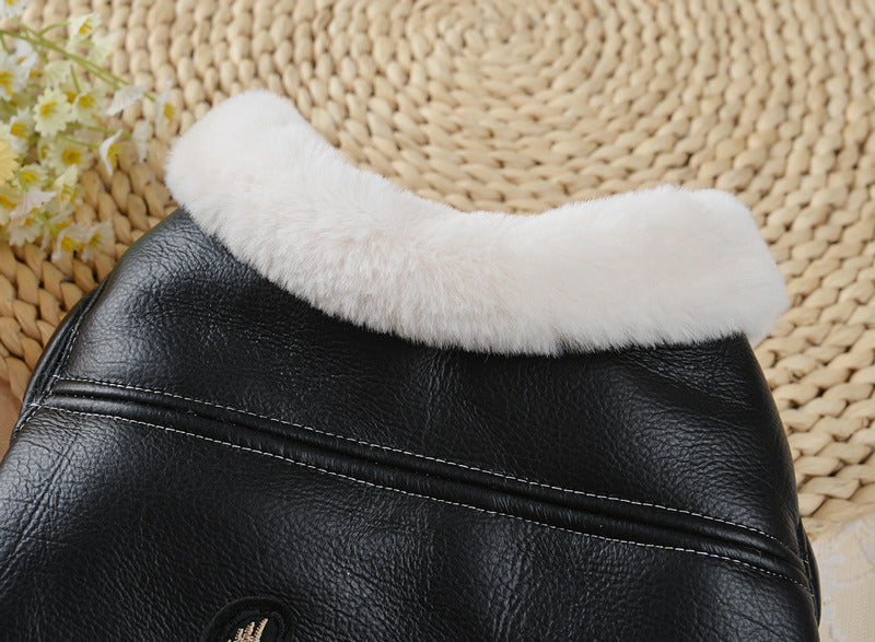 Screaming Eagle Leather Dog Jacket - North East Pet Shop Dog Shack UK