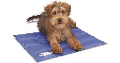 Scruffs Cooling Mat - North East Pet Shop Scruffs