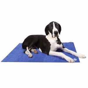 Scruffs Cooling Mat - North East Pet Shop Scruffs