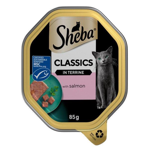 Sheba Tray Classic Terrine Salmon 22x85g - North East Pet Shop Sheba