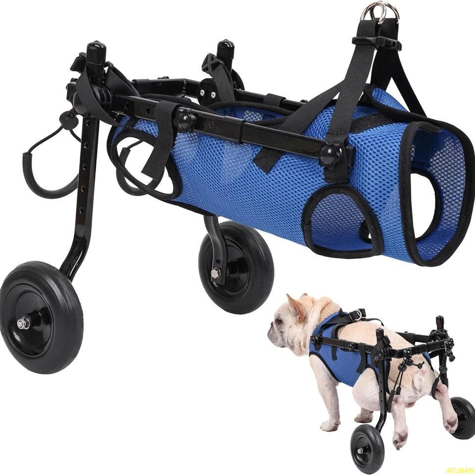 Small Dog Wheelchair - North East Pet Shop Dog Shack UK