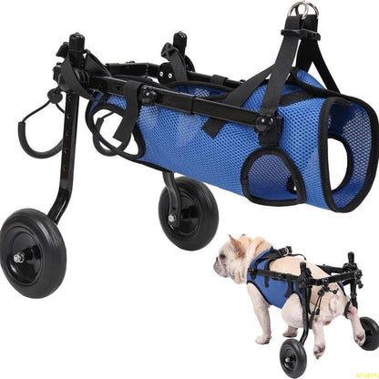 Small Dog Wheelchair - North East Pet Shop Dog Shack UK