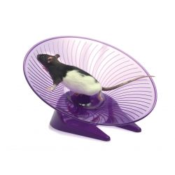 Small 'N' Furry Fly 'N' Saucer Wheel Large, 12" - North East Pet Shop Small n Furry