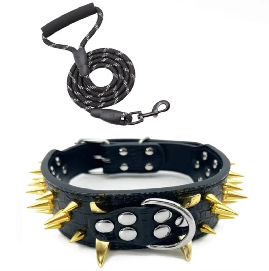 Spiked Collar & Lead Matching Set. - North East Pet Shop North East Pet Shop 