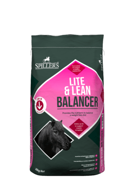 Spillers Lite & lean Balancer 20kg - North East Pet Shop Spillers