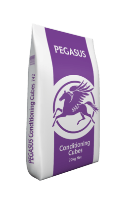 Spillers Pegasus Conditioning Cubes 20kg - North East Pet Shop Spillers