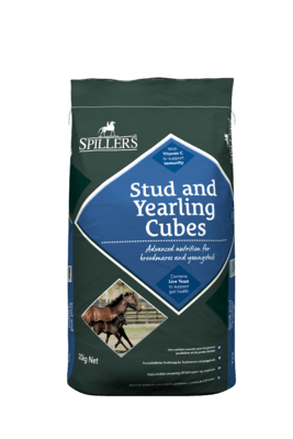 Spillers Stud & Yearling Cubes 20kg - North East Pet Shop Spillers