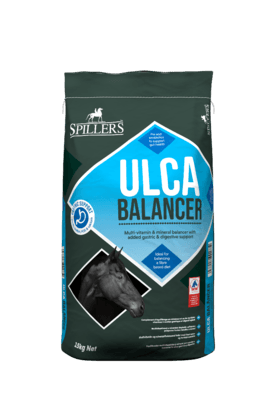 Spillers Ulca Balancer 15kg - North East Pet Shop Spillers