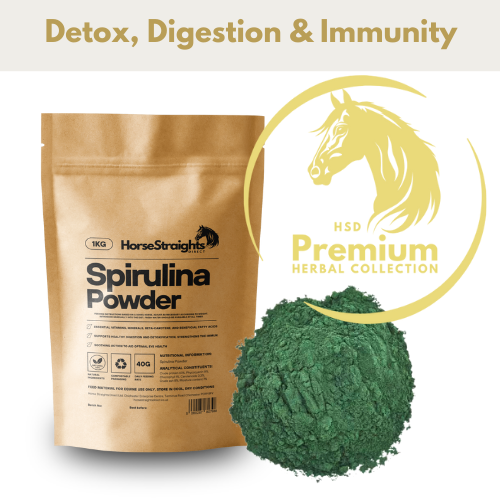 Spirulina Powder