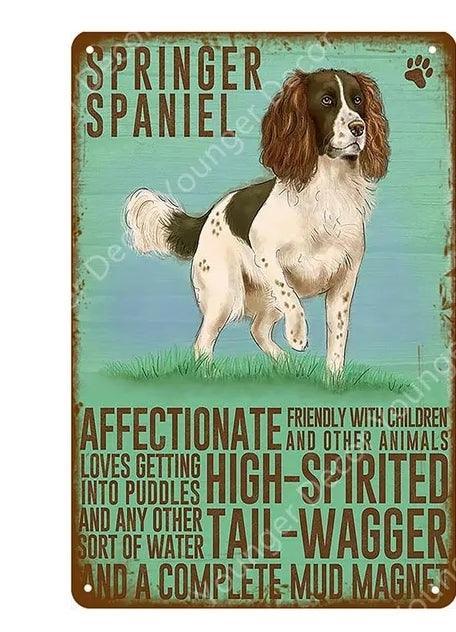 Springer Spaniel Dog Tin Sign - North East Pet Shop Dog Shack UK