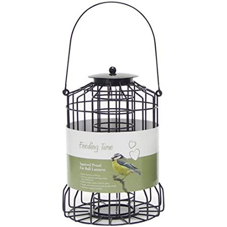 Squirrel Proof Fat Ball Lantern - North East Pet Shop Rosewood