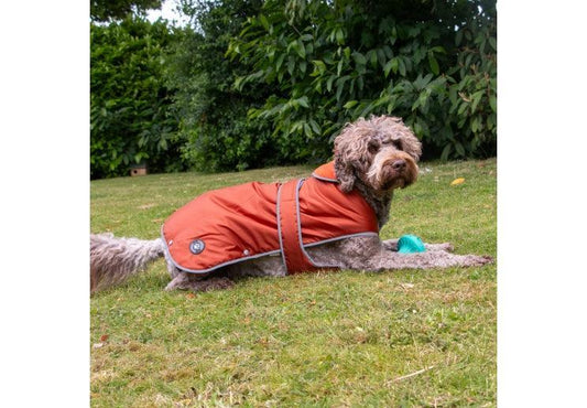 Stormguard Dog Coat Terracotta L - North East Pet Shop Ancol