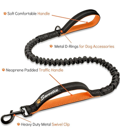 Sweetie Bungee Dog Lead - Shock Absorbing