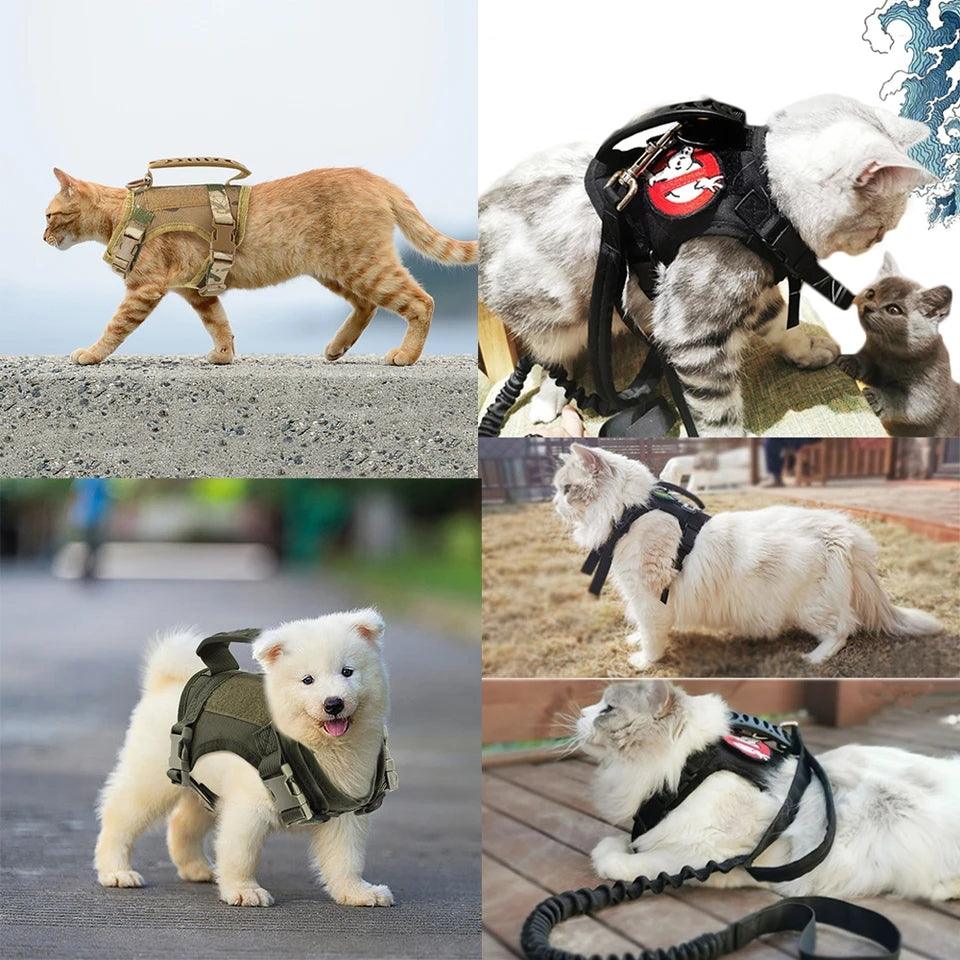 Tactical Cat Harness & Lead - North East Pet Shop North East Pet Shop